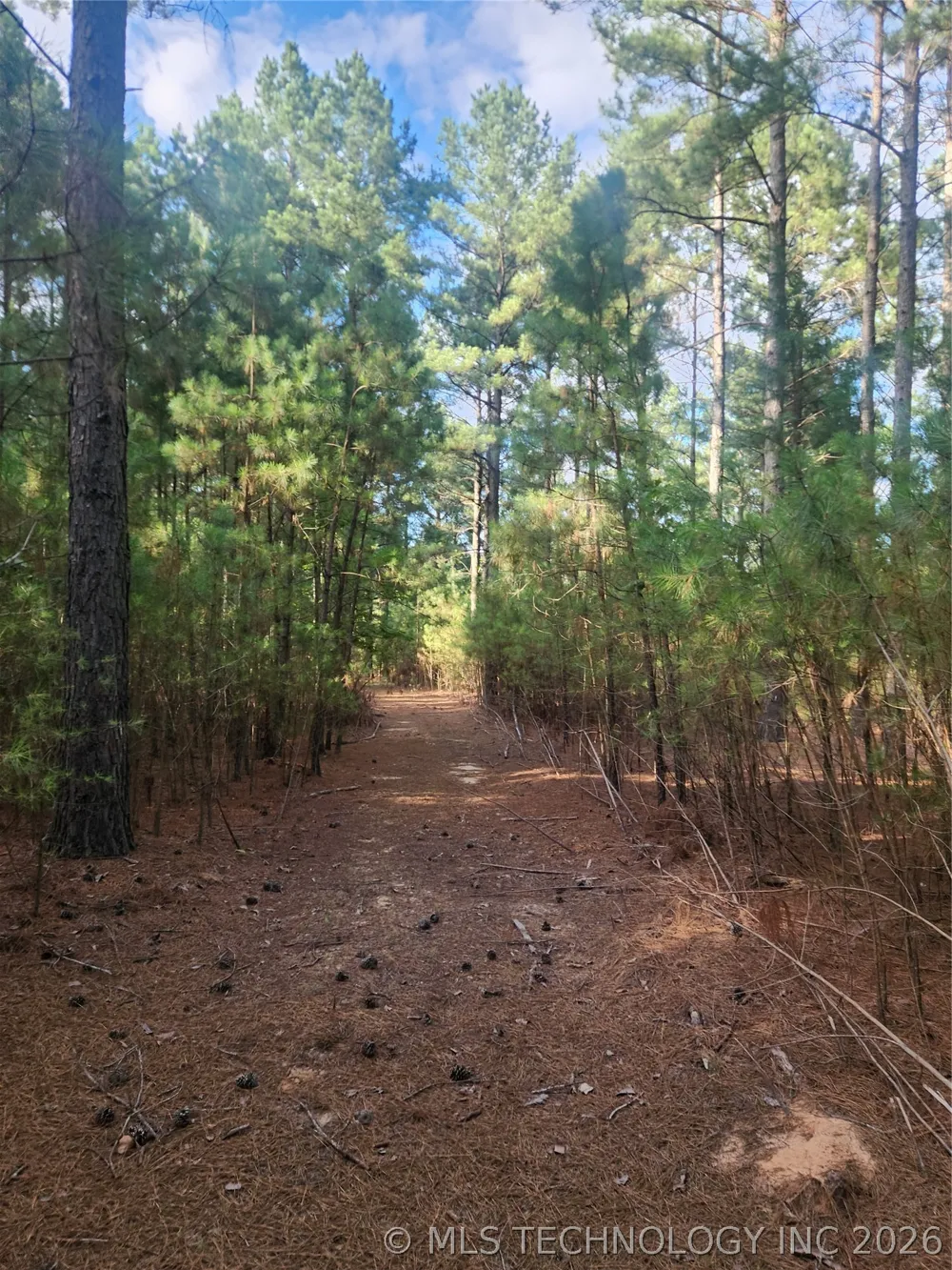 County Road Hugo, OK 74743