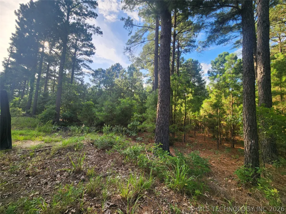 County Road Hugo, OK 74743