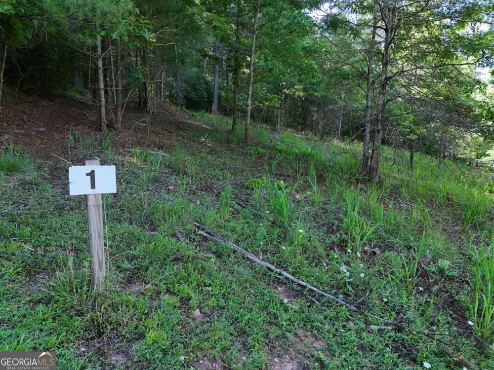 LOT 1 Big Knoll DR Blairsville, GA 30512