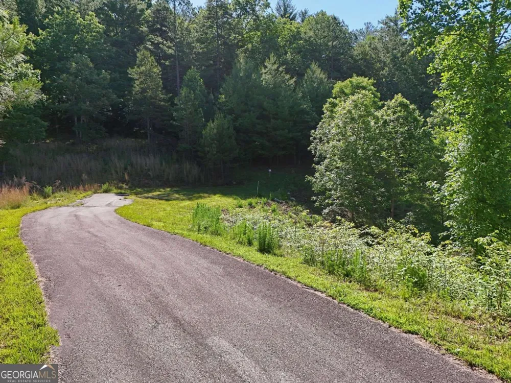 LOT 1 Big Knoll DR Blairsville, GA 30512