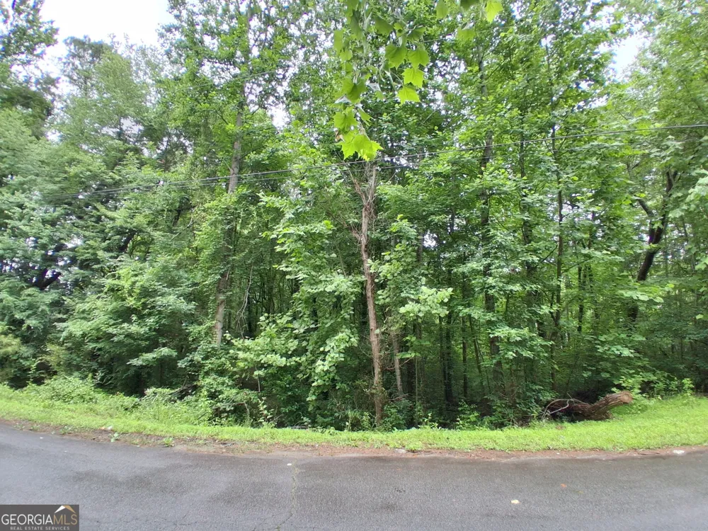 0 N Pleasant Oak DR Temple, GA 30179