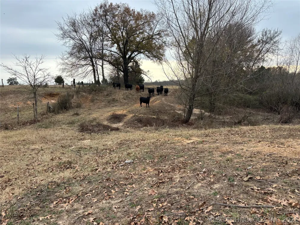 Nelson Soper, OK 74759