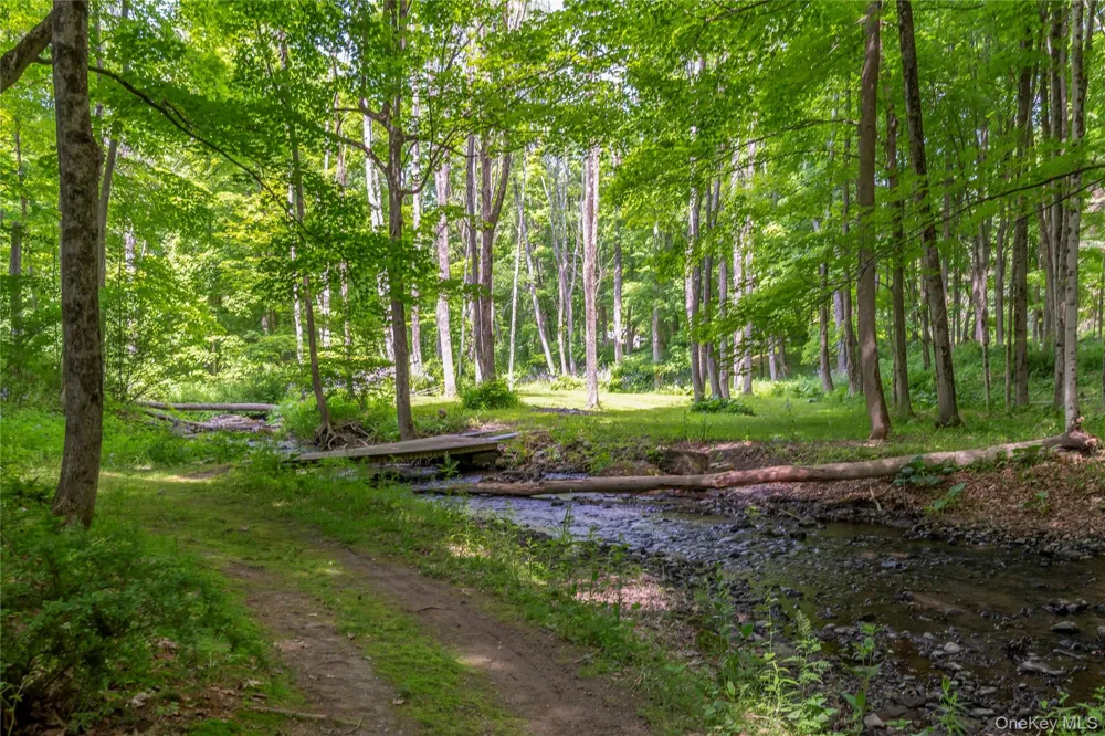 2955 State Route 23 Hillsdale, NY 12529