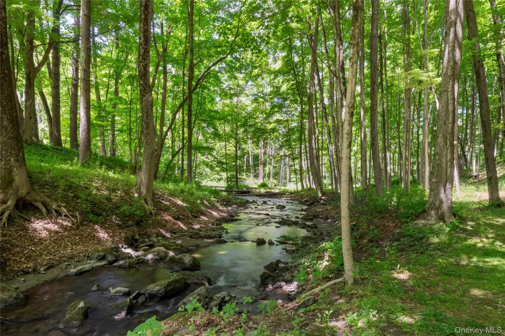 2955 State Route 23 Hillsdale, NY 12529