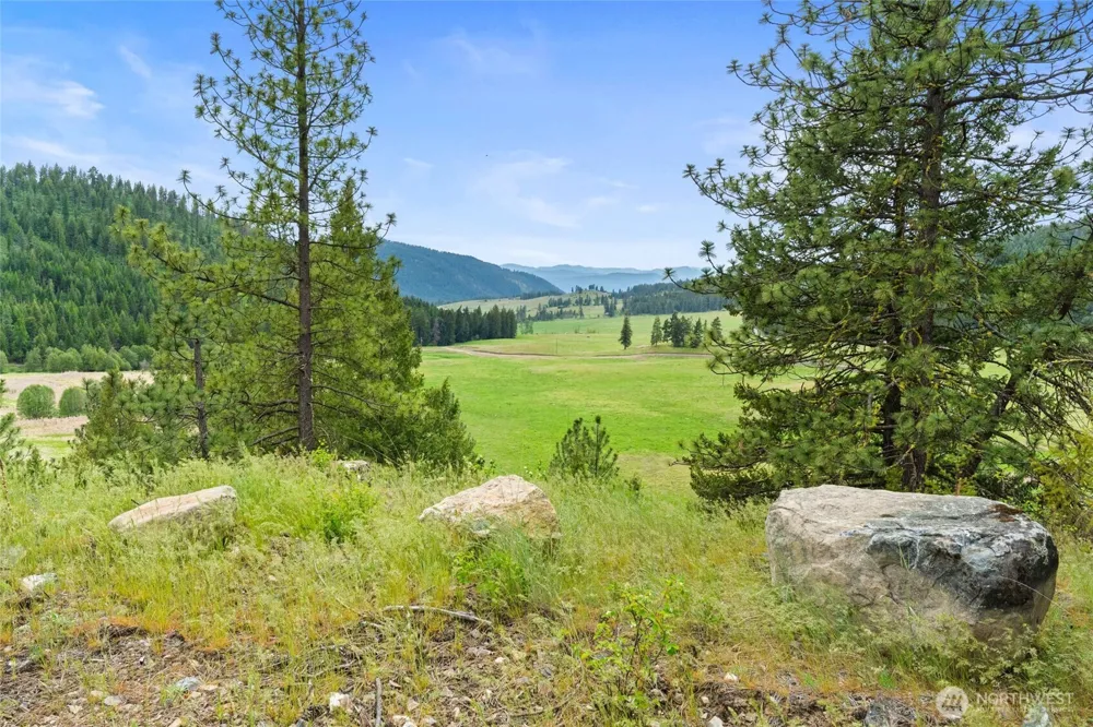 311 X Old Baldy Tract D, K & L Road Rice, WA 99126