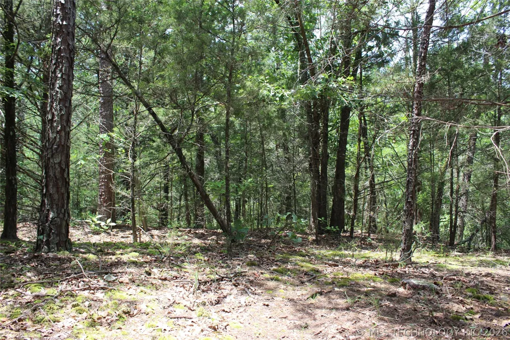 5 E 1909 ROAD Antlers, OK 74523