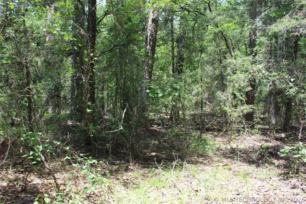 5 E 1909 ROAD Antlers, OK 74523