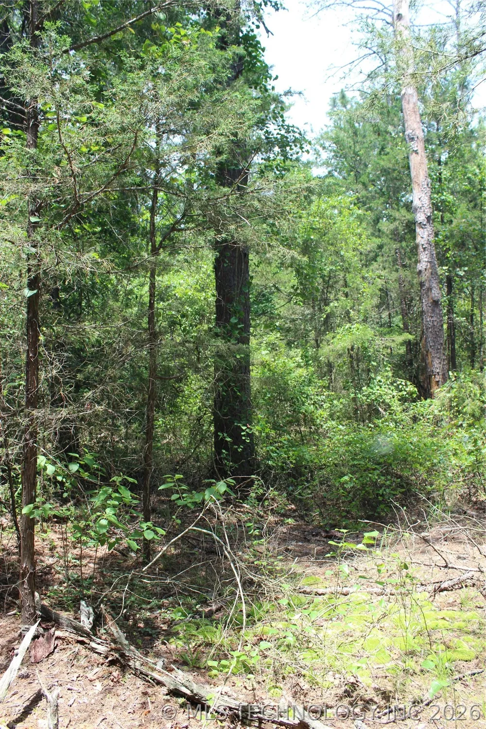 5 E 1909 ROAD Antlers, OK 74523