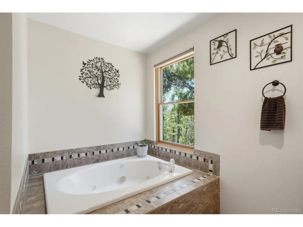 224 Hangman Road Bailey, CO 80421