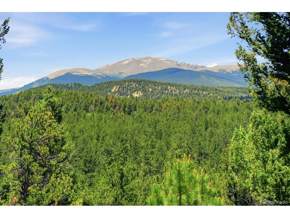 224 Hangman Road Bailey, CO 80421