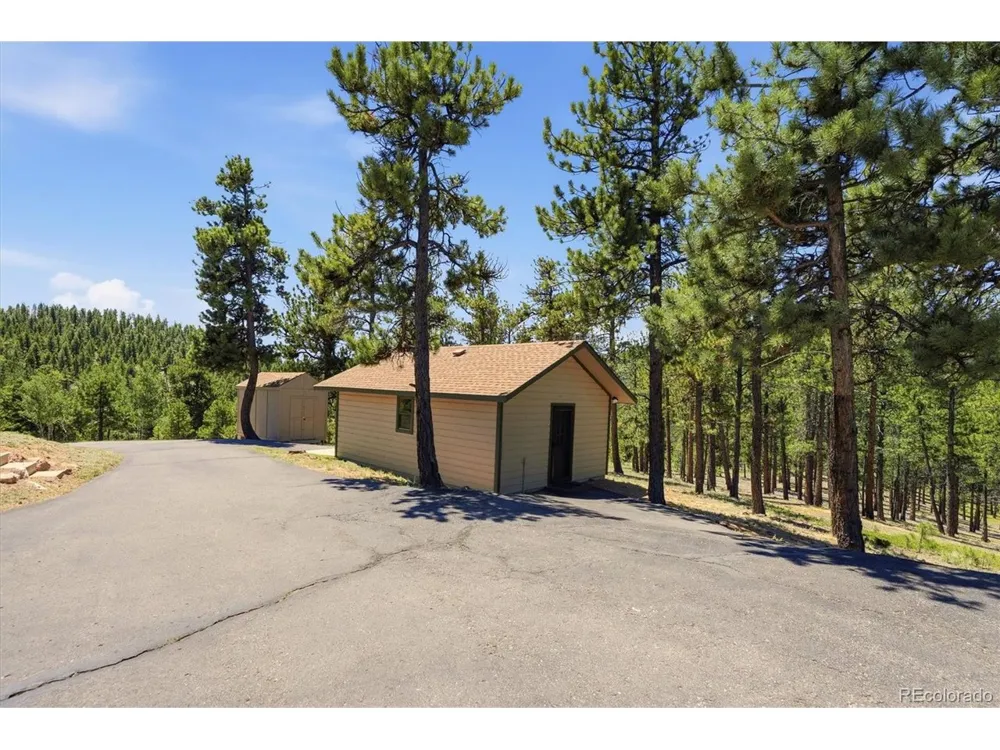 224 Hangman Road Bailey, CO 80421