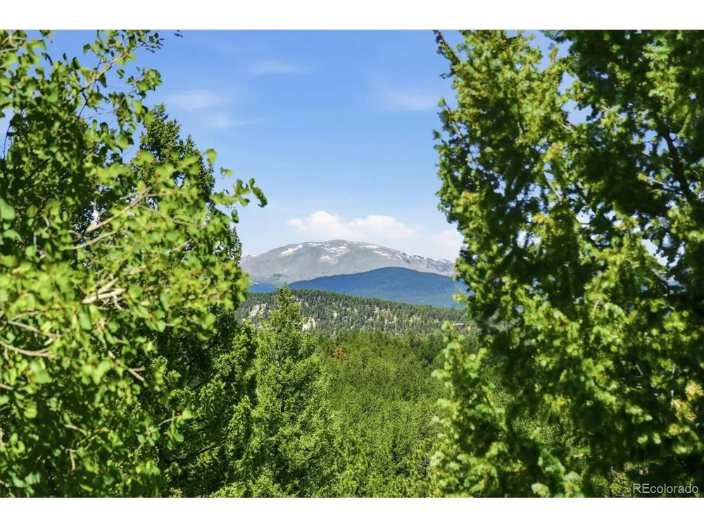 224 Hangman Road Bailey, CO 80421