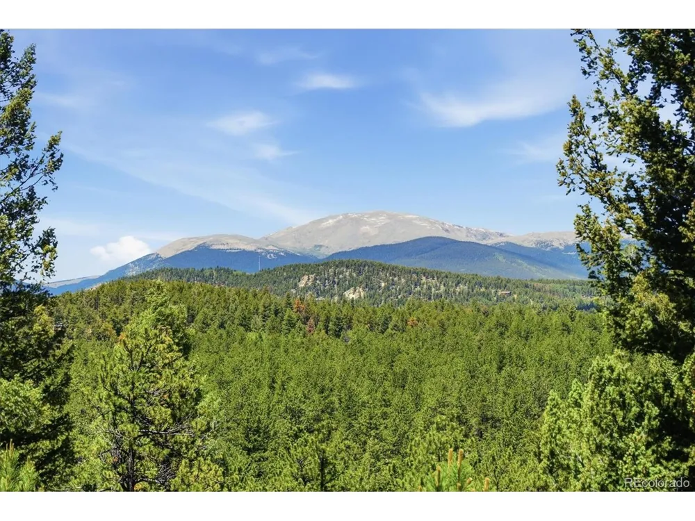 224 Hangman Road Bailey, CO 80421