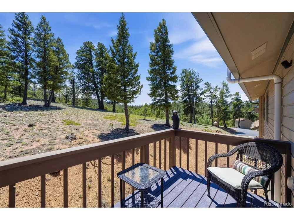 224 Hangman Road Bailey, CO 80421