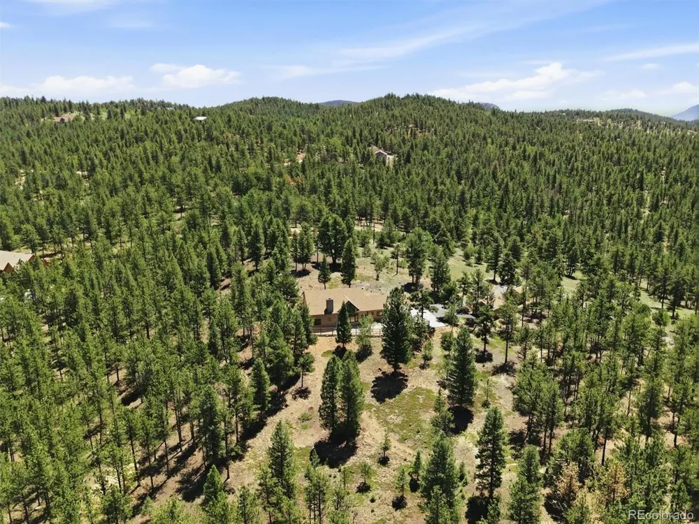224 Hangman Road Bailey, CO 80421