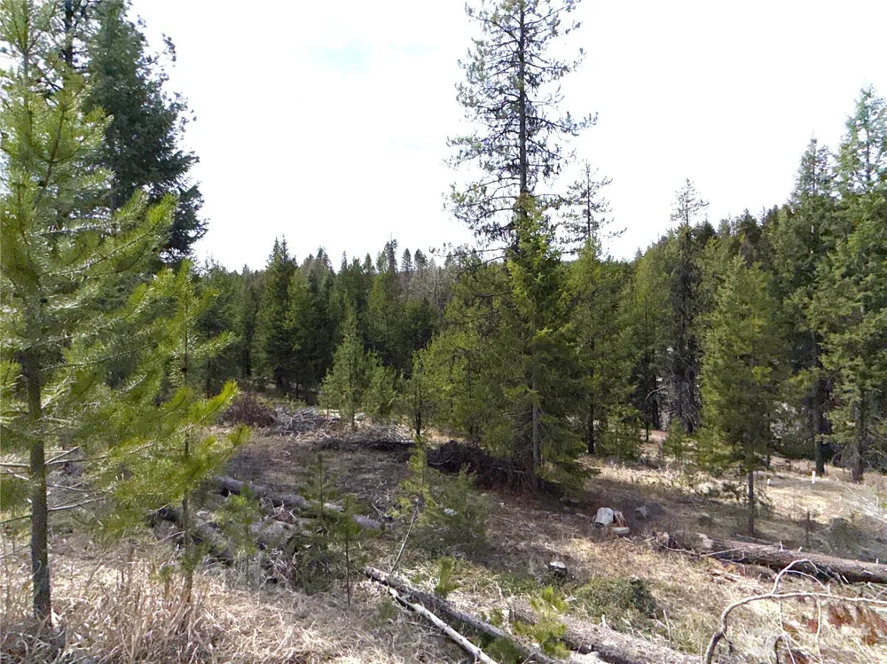 37 Gardner Creek Road Republic, WA 99166