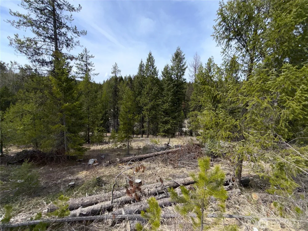37 Gardner Creek Road Republic, WA 99166