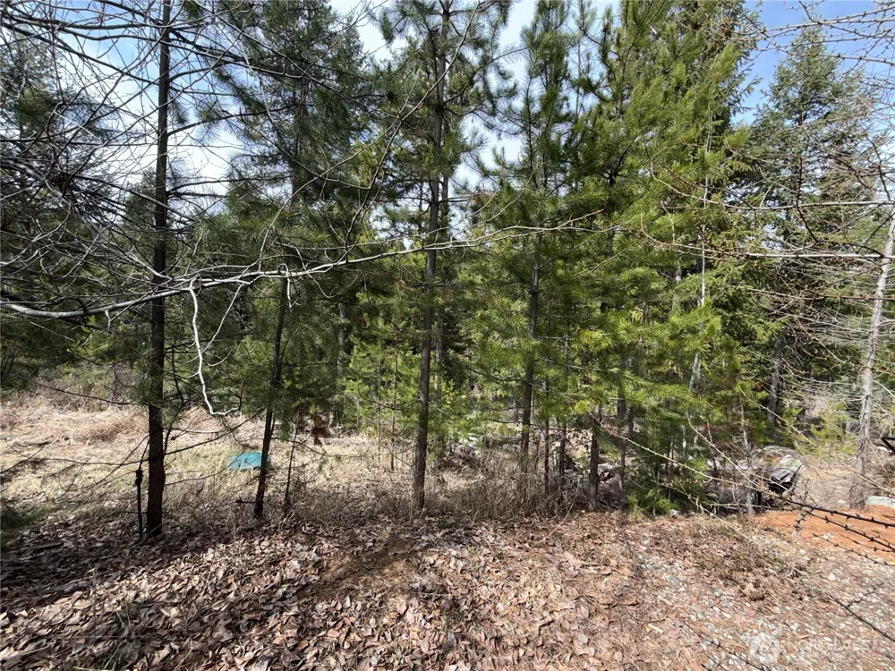 37 Gardner Creek Road Republic, WA 99166