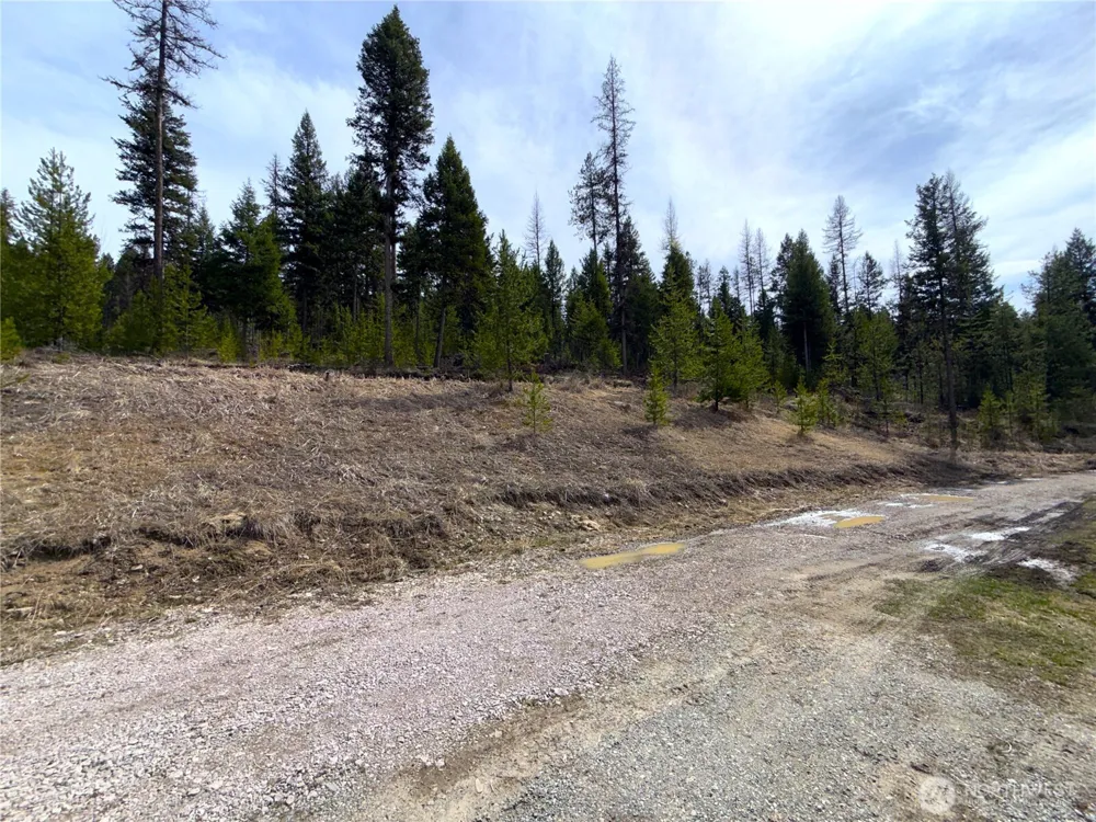 37 Gardner Creek Road Republic, WA 99166
