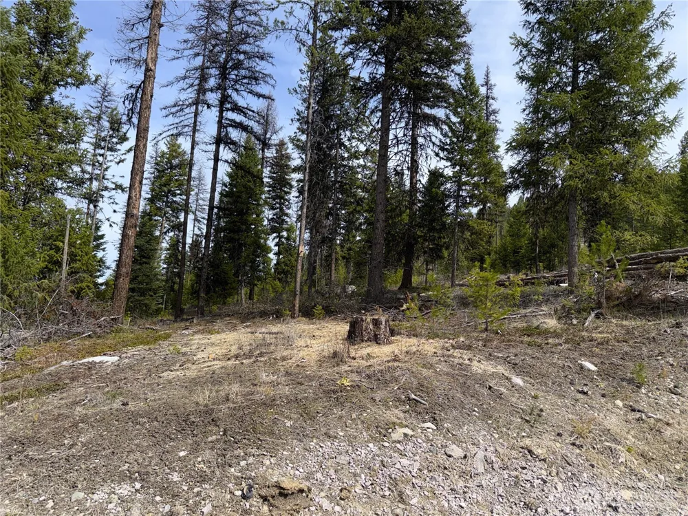 37 Gardner Creek Road Republic, WA 99166