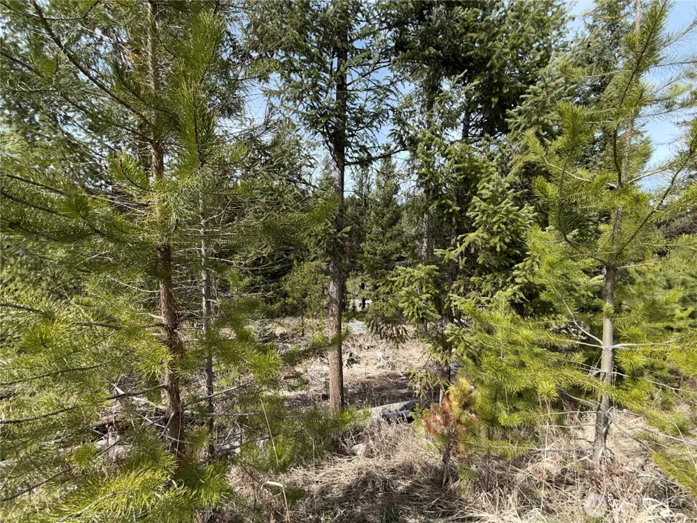 37 Gardner Creek Road Republic, WA 99166