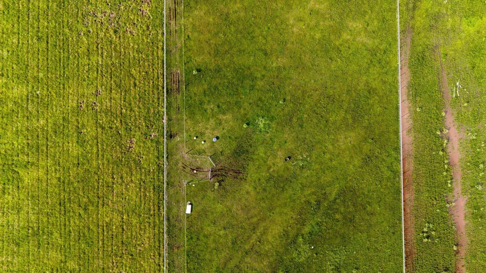Hughes Road Guy, TX 77444