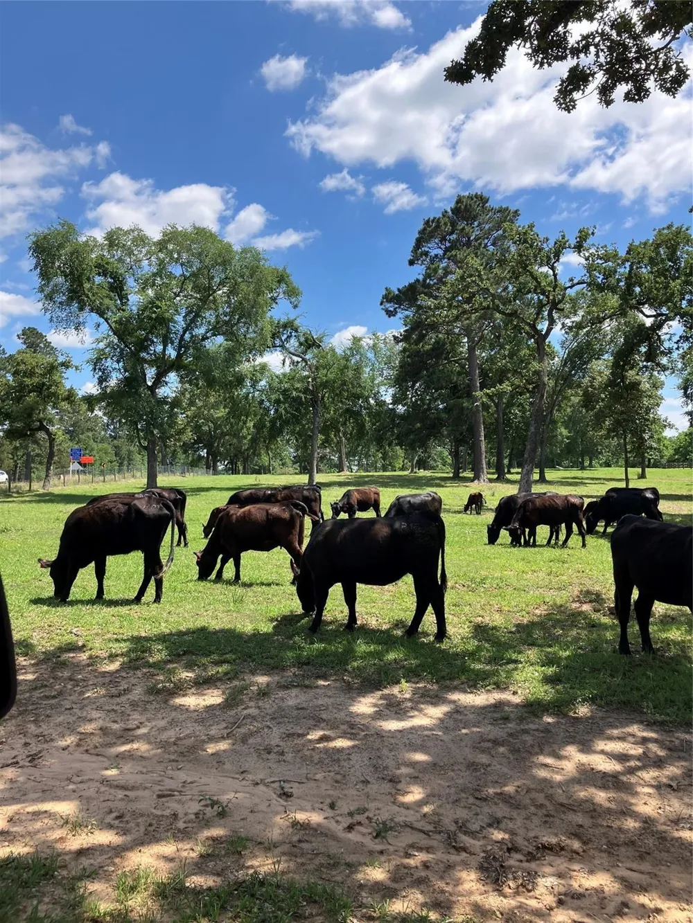 22349 Fm 359 Road Hempstead, TX 77445