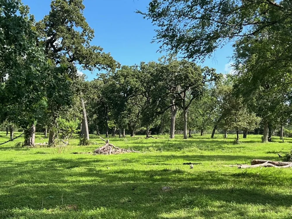 22349 Fm 359 Road Hempstead, TX 77445