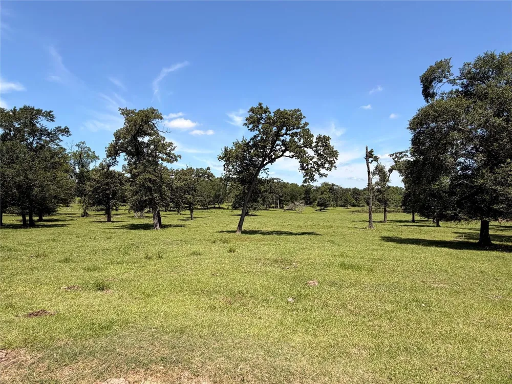 22349 Fm 359 Road Hempstead, TX 77445