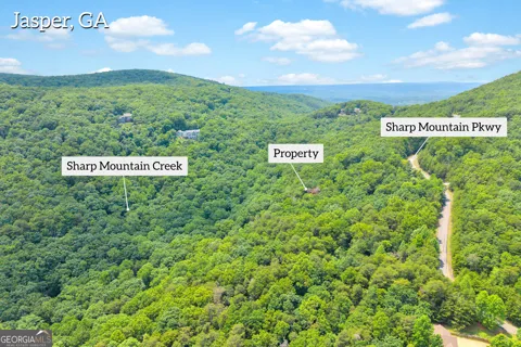 98 Sharp Mountain PKWY