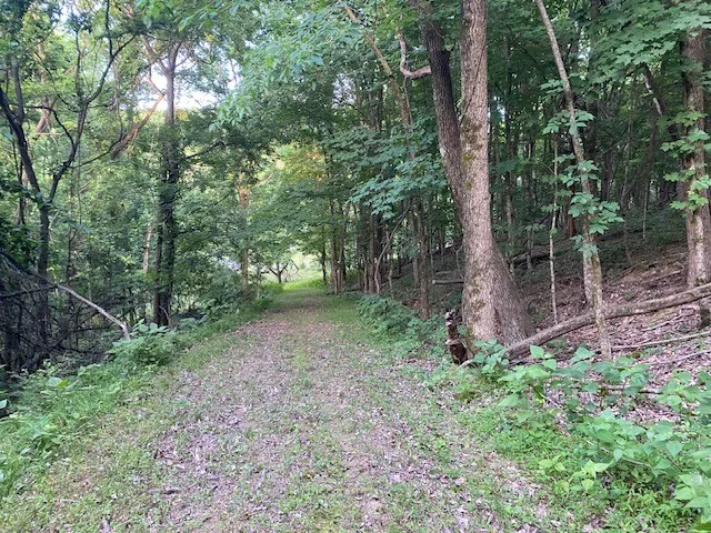 250 Hurt Rd Hendersonville, TN 37075