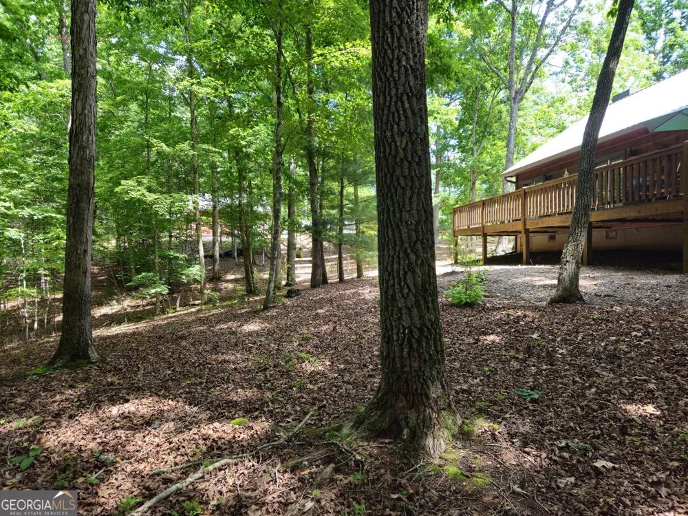 211 Winding Brook TRL Morganton, GA 30560
