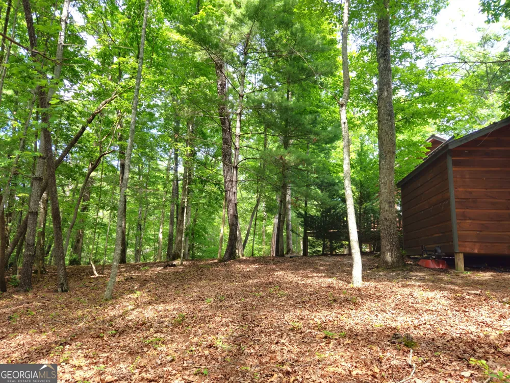 211 Winding Brook TRL Morganton, GA 30560