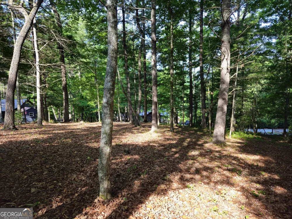 211 Winding Brook TRL Morganton, GA 30560