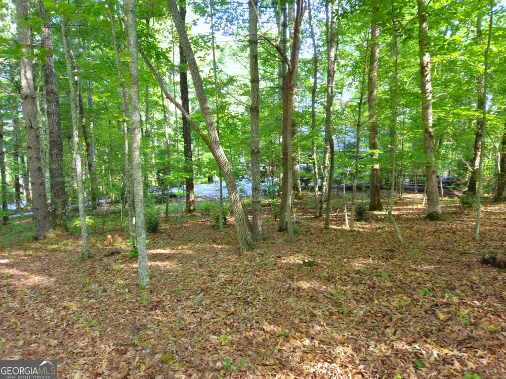 211 Winding Brook TRL Morganton, GA 30560