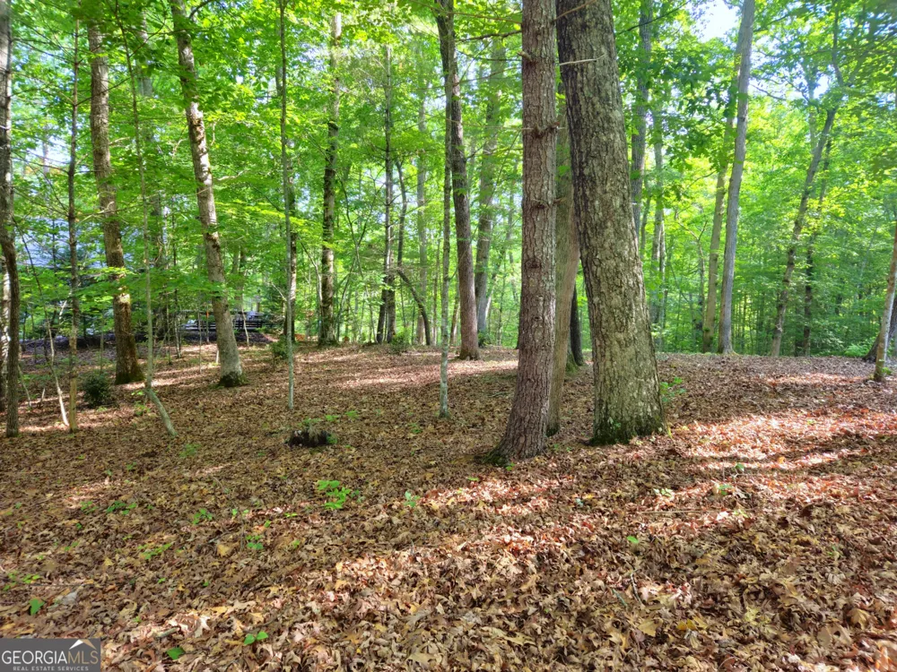 211 Winding Brook TRL Morganton, GA 30560