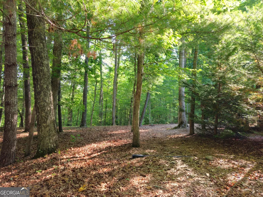 211 Winding Brook TRL Morganton, GA 30560