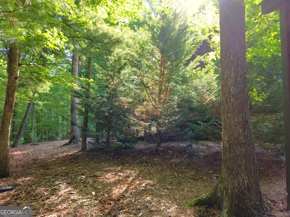 211 Winding Brook TRL Morganton, GA 30560