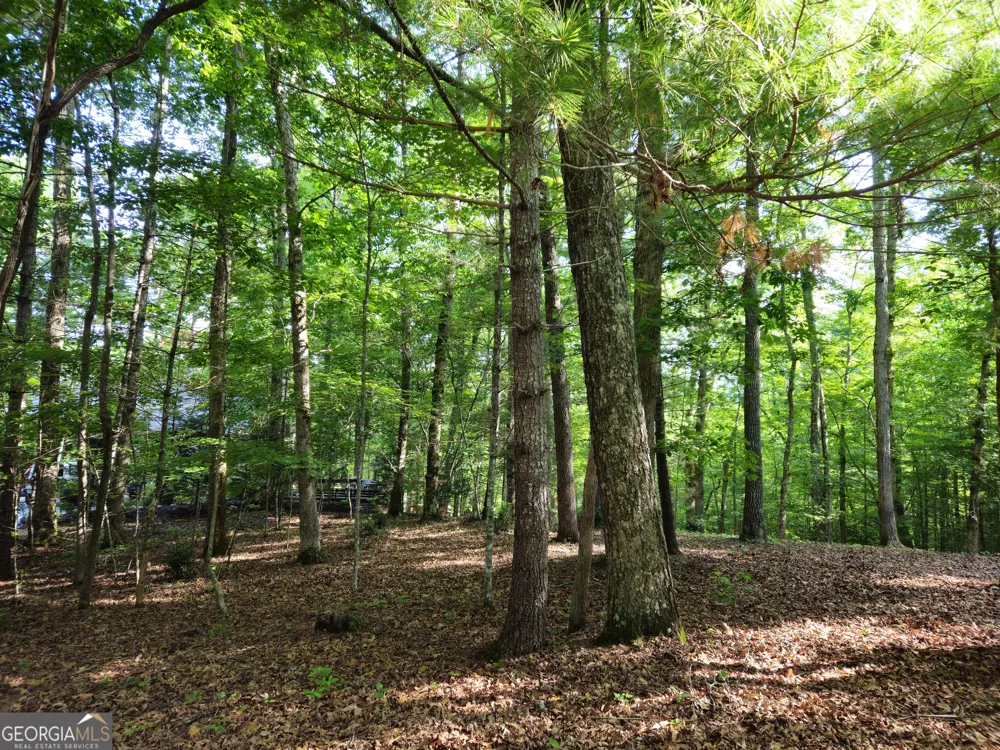 211 Winding Brook TRL Morganton, GA 30560