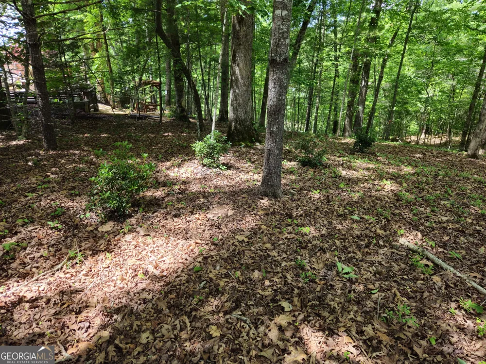 211 Winding Brook TRL Morganton, GA 30560