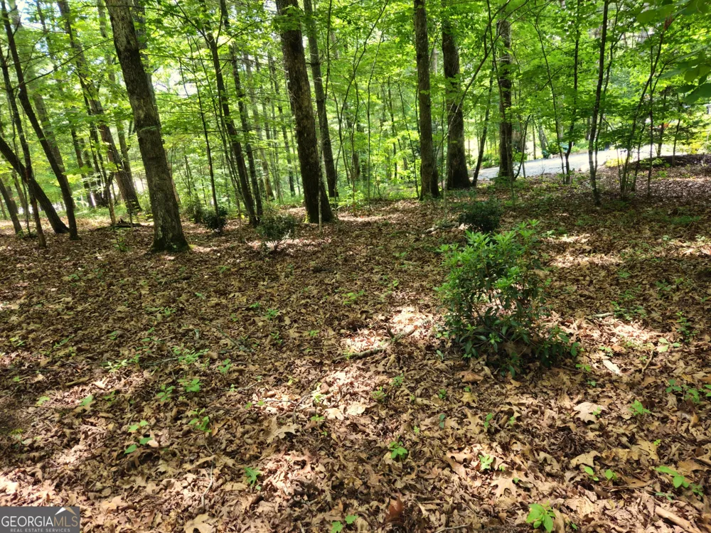 211 Winding Brook TRL Morganton, GA 30560