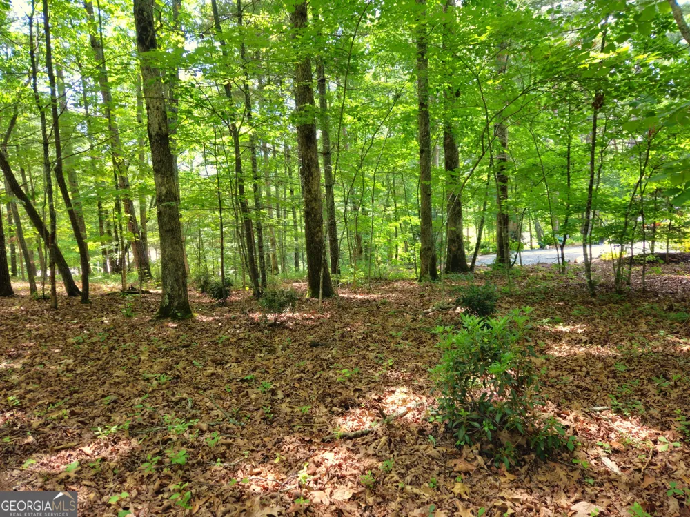 211 Winding Brook TRL Morganton, GA 30560