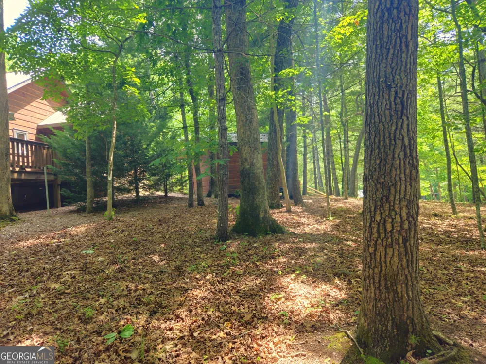 211 Winding Brook TRL Morganton, GA 30560