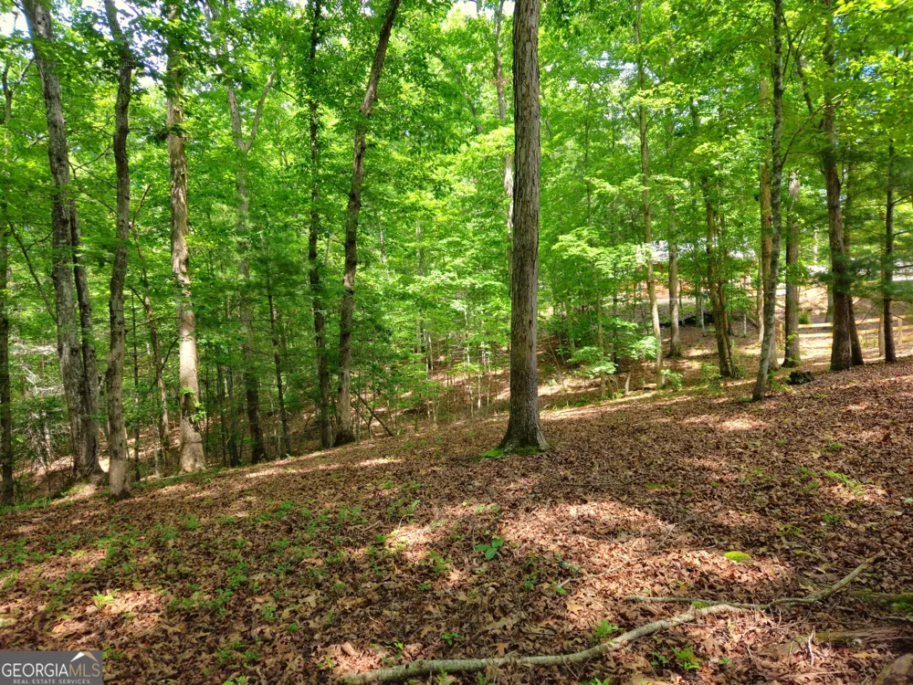 211 Winding Brook TRL Morganton, GA 30560