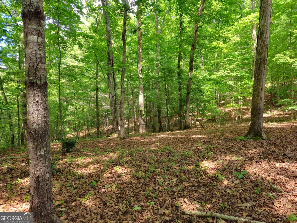 211 Winding Brook TRL Morganton, GA 30560
