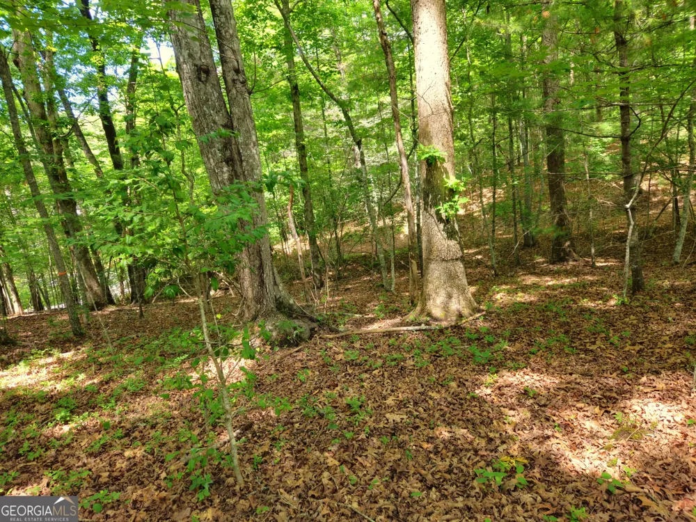 211 Winding Brook TRL Morganton, GA 30560