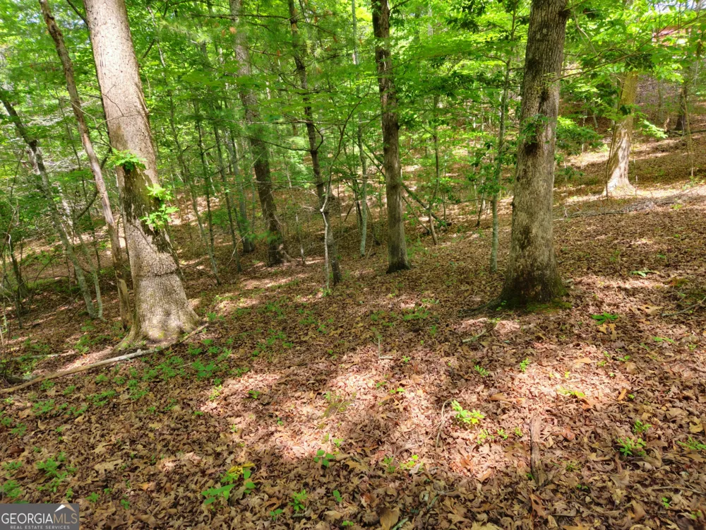 211 Winding Brook TRL Morganton, GA 30560