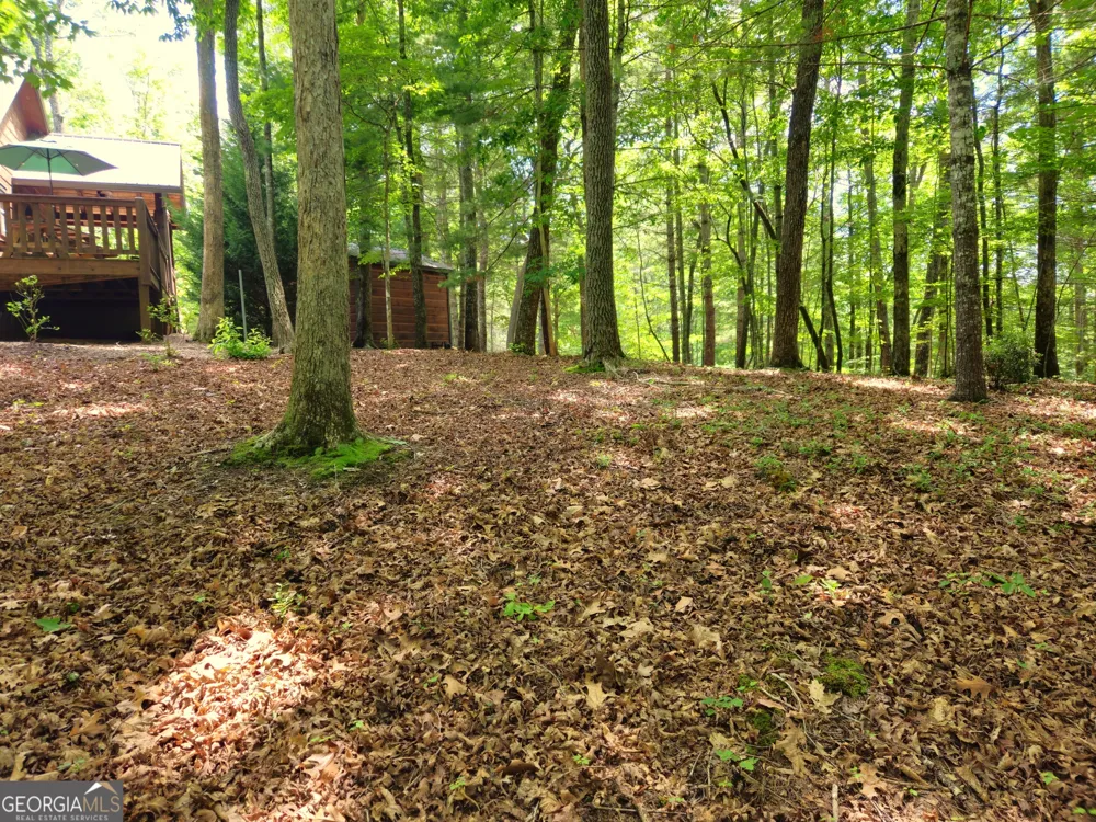 211 Winding Brook TRL Morganton, GA 30560