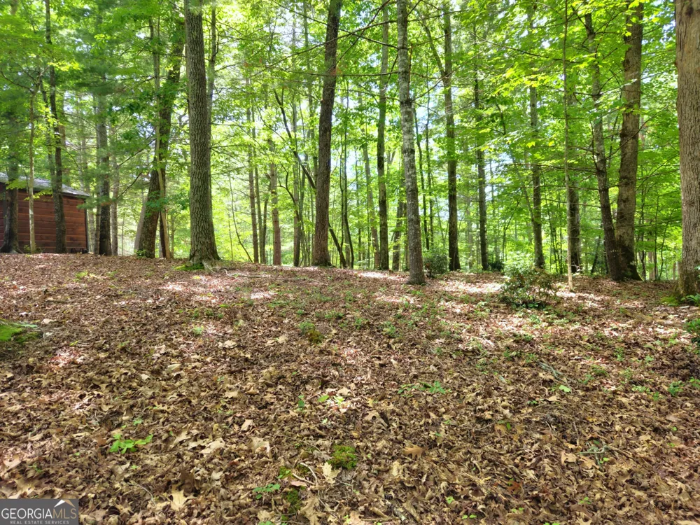 211 Winding Brook TRL Morganton, GA 30560