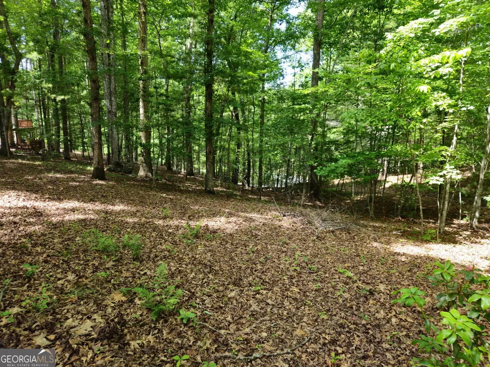 211 Winding Brook TRL Morganton, GA 30560